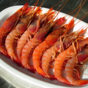 Gambas - Argentinsk Rödräka - 209 kr/kg