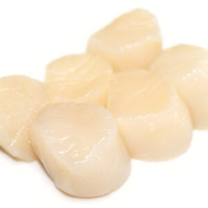 Kammusslor - MSC - 439 kr/kg