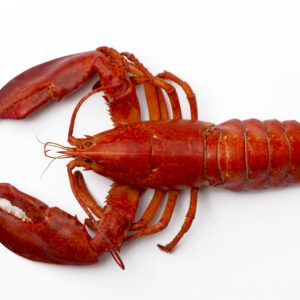 Hummer 500 gram - 239 kr/st