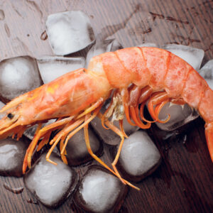 Gambas XXL - 499 kr/kg